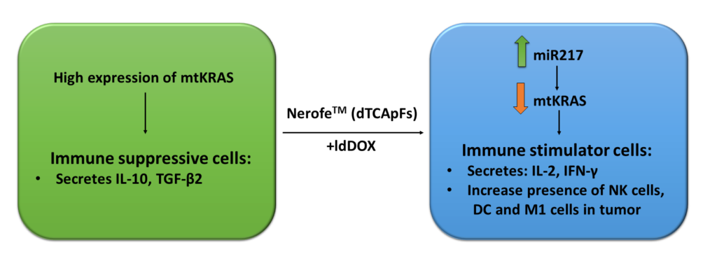 Nerofe reduces kras and transform the tumor to immune stimulatory tumor